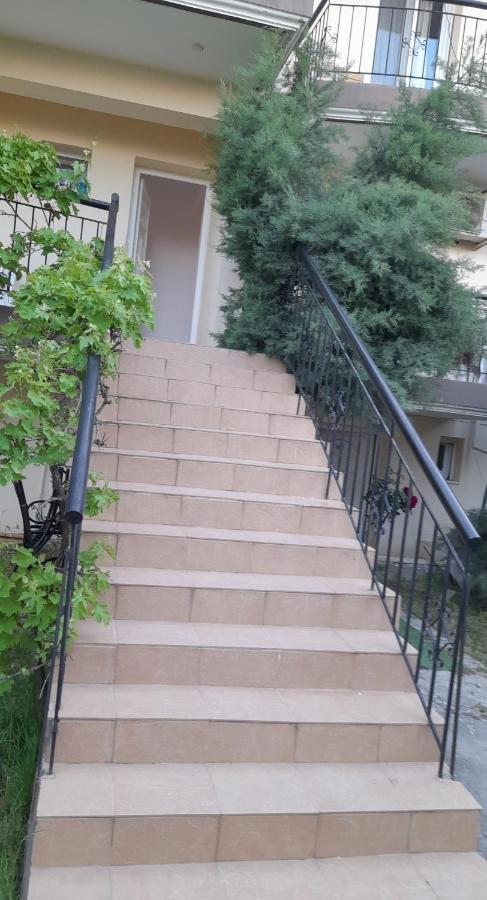 Villa Leopard Stavros  Buitenkant foto